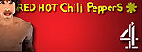 RED HOT CHILLI PEPPERS SPECIAL - CHANNEL 4