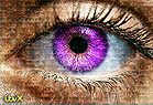 Big Brother 2026