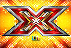 The X Factor Judge Auditions 2015